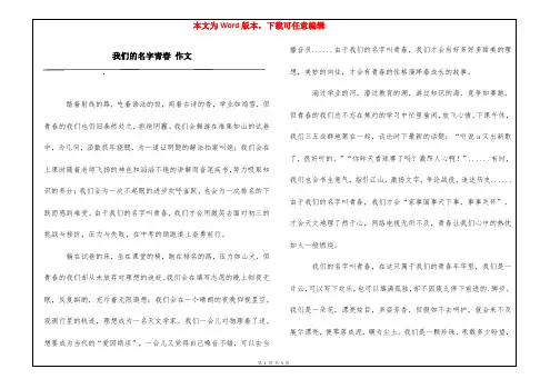 我们的名字青春 作文