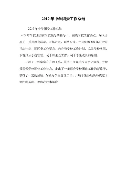 2019年中学团委工作总结_0