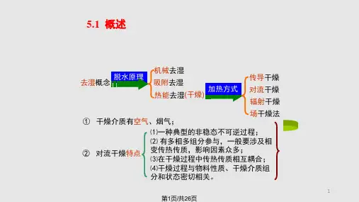 干燥原理PPT课件