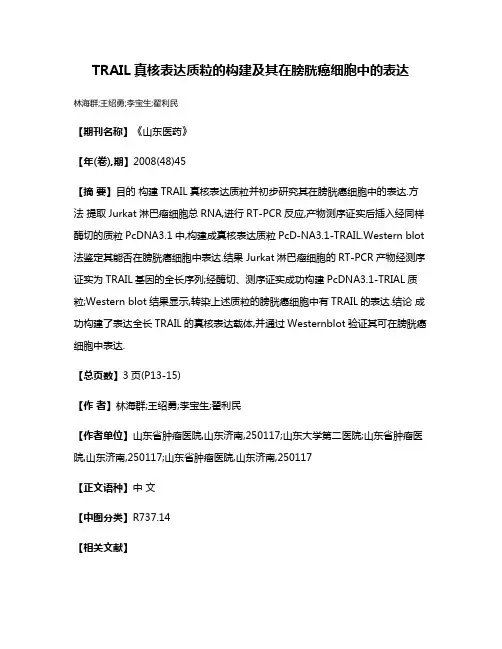 TRAIL真核表达质粒的构建及其在膀胱癌细胞中的表达