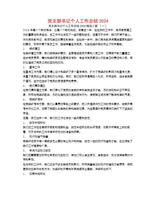 党支部书记个人工作总结20242篇