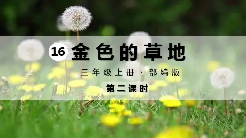 统编版三年级语文上册16.《 金色的草地》第二课时课件(共37张PPT)