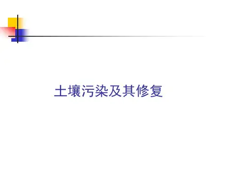 环境污染修复课件PPT