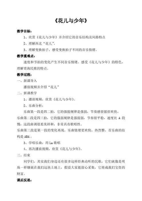 《花儿与少年》教案1