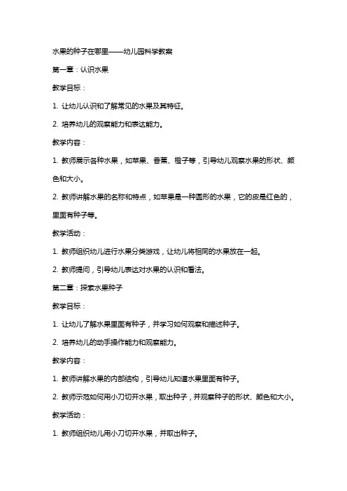 水果的种子在里幼儿园科学教案