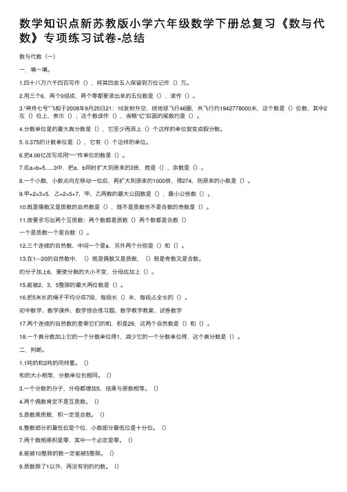 数学知识点新苏教版小学六年级数学下册总复习《数与代数》专项练习试卷-总结