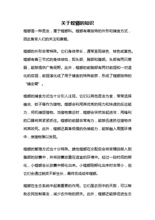 关于螳螂的知识