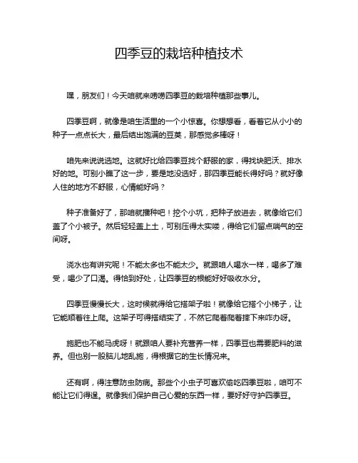 四季豆的栽培种植技术