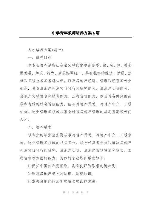 中学青年教师培养方案4篇