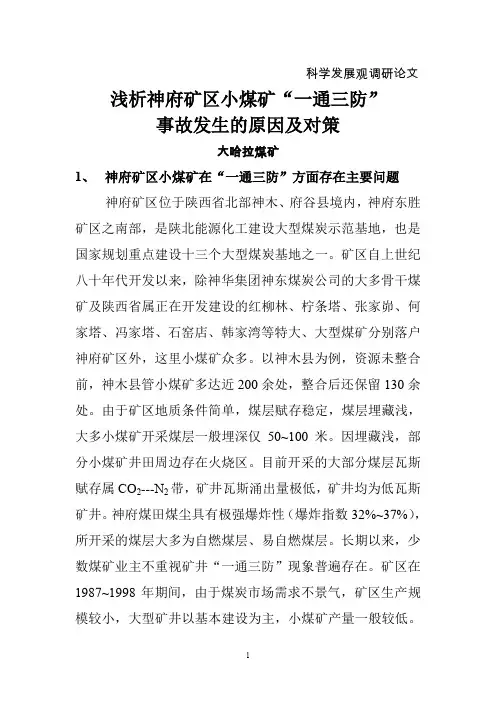 浅析神府矿区小煤矿安全管理
