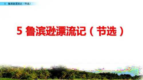 《鲁滨逊漂流记》课件PPT
