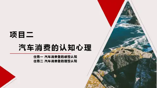 汽车消费心理学- 认知心理