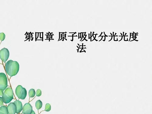 原子吸收分光光度法(精)