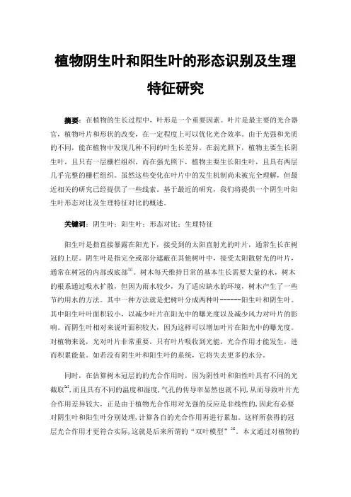 植物阴生叶和阳生叶的形态识别及生理特征研究
