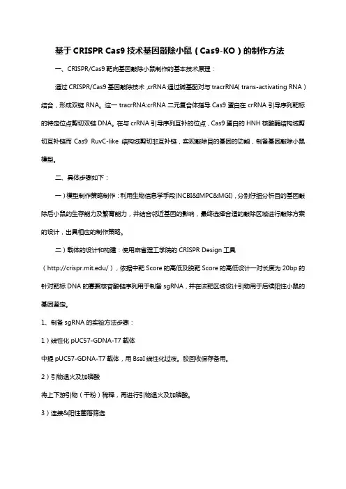 基于CRISPR Cas9技术基因敲除小鼠(Cas9-KO)的制作方法-2018-2-28