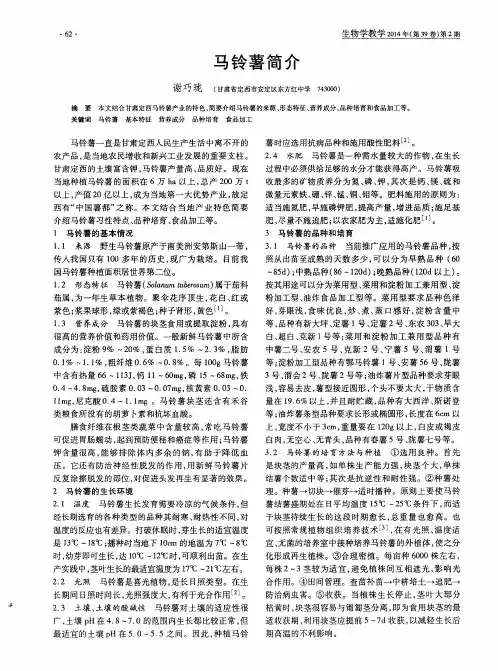 马铃薯简介