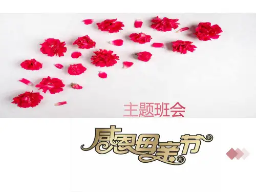 母亲节主题班会（精品课件）(共18张PPT)