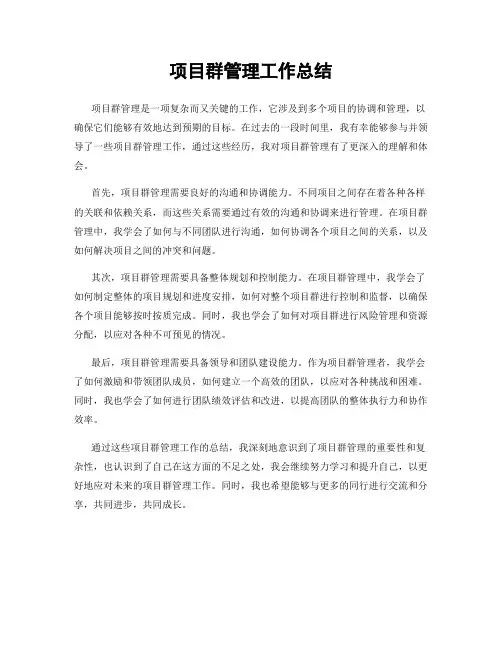 项目群管理工作总结