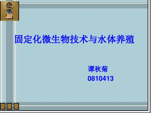 固定化微生物技术ppt.