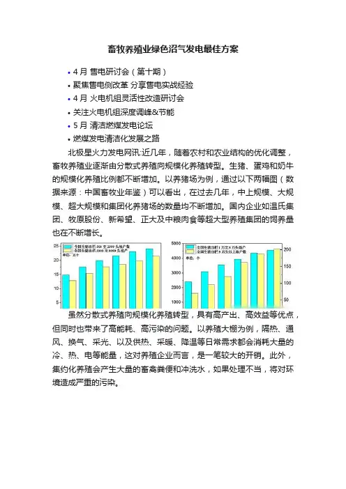畜牧养殖业绿色沼气发电最佳方案