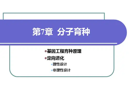 分子育种-PPT课件