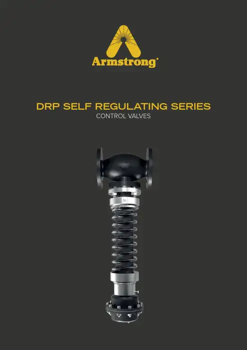 Armstrong Delta2 - DRP SERIES 自动压力减小 释放控制阀门说明说明书