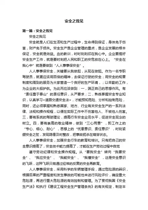 安全之我见
