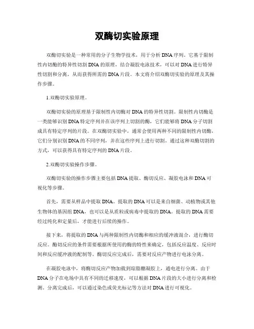 双酶切实验原理