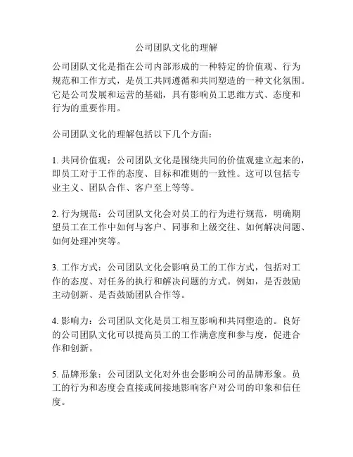 公司团队文化的理解