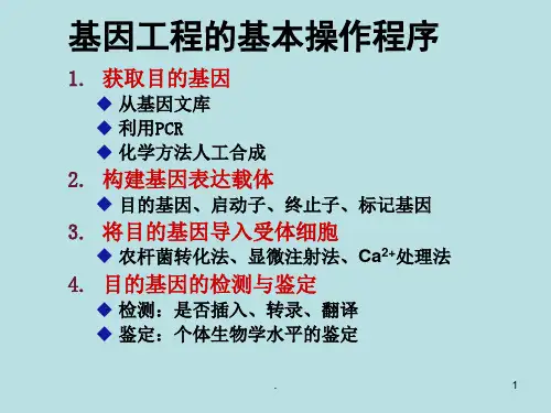 基因工程的应用最新ppt演示课件