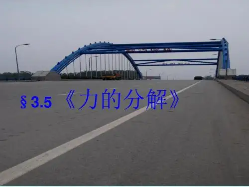 力的分解(精品)