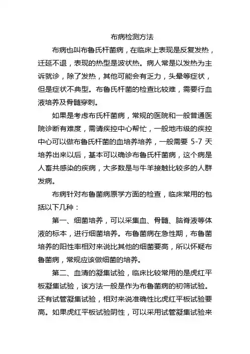 布病检测方法