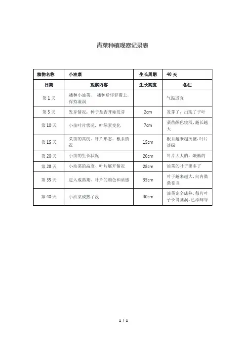 青菜种植观察记录表