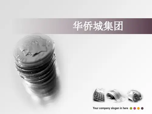 华侨城战略分析页PPT文档