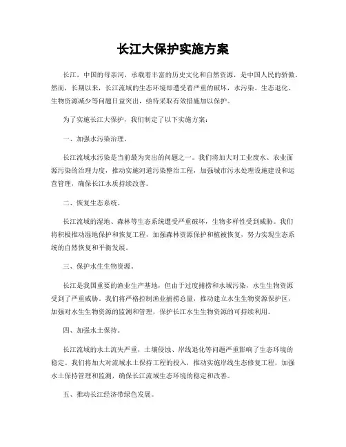 长江大保护实施方案