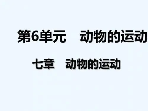 八年级生物上册 第十七章 第一节 动物运动的形式和能量供应讲义 (新版)苏教版