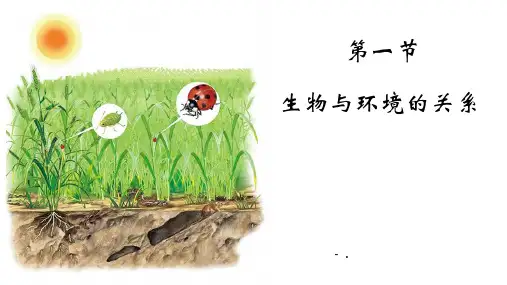 《生物与环境的关系》PPT课件