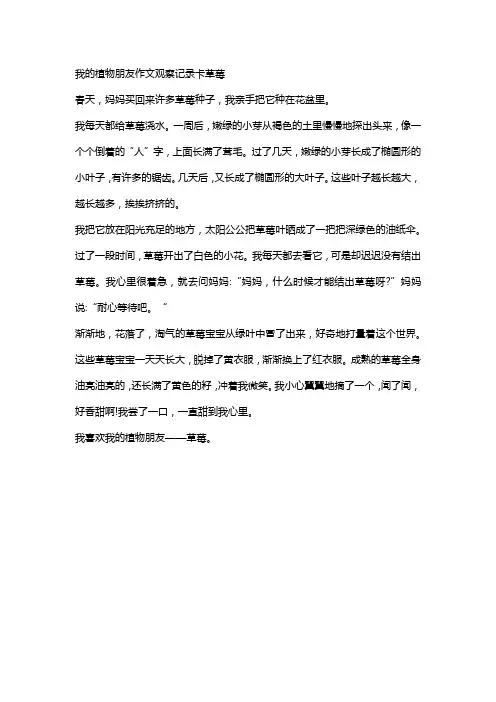 我的植物朋友作文观察记录卡草莓