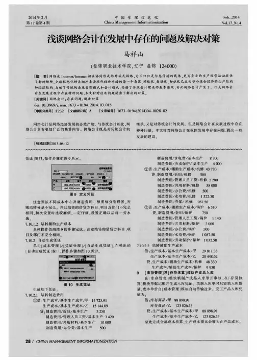 浅谈网络会计在发展中存在的问题及解决对策