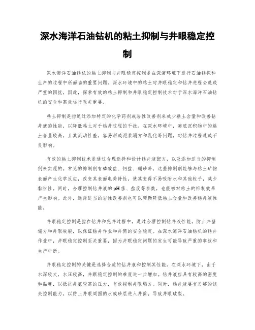 深水海洋石油钻机的粘土抑制与井眼稳定控制