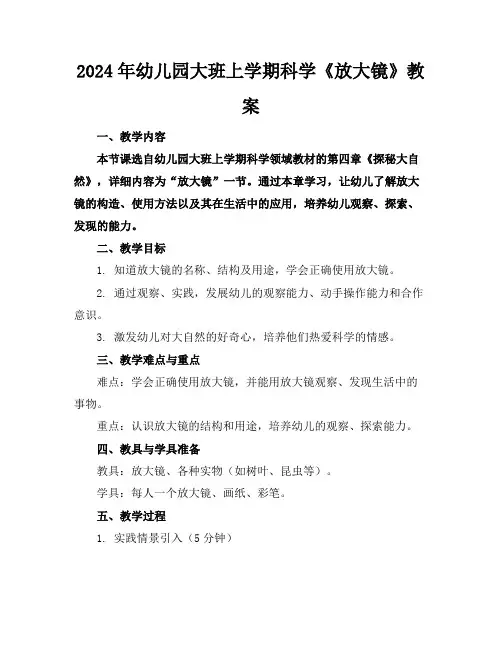 2024年幼儿园大班上学期科学《放大镜》教案
