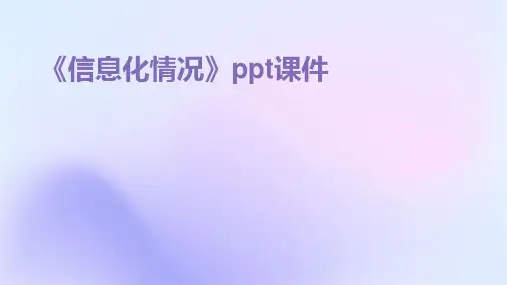 《信息化情况》课件