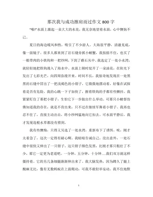 那次我与成功擦肩而过作文800字