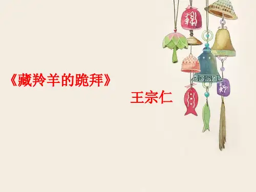 《藏羚羊的跪拜》