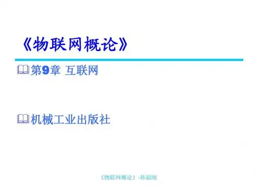 《物联网概论》第9章 互联网