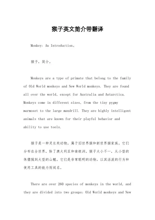 猴子英文简介带翻译
