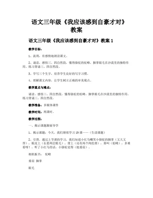 语文三年级《我应该感到自豪才对》教案