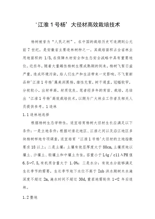 ‘江淮1号杨’大径材高效栽培技术
