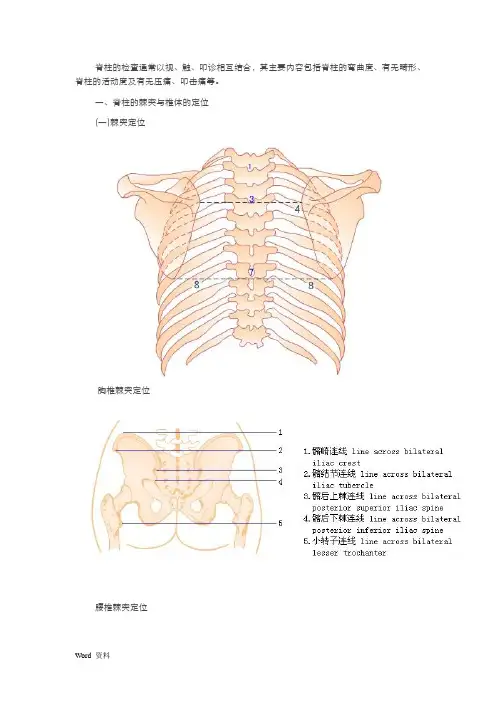 体格检查——脊柱检查