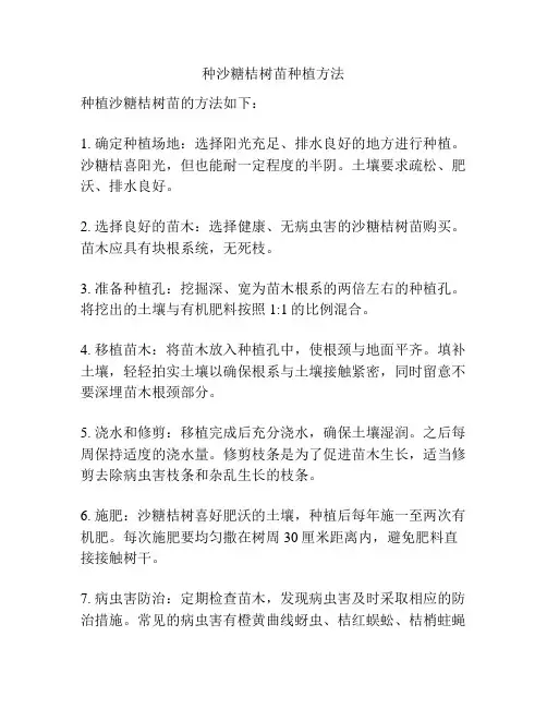 种沙糖桔树苗种植方法